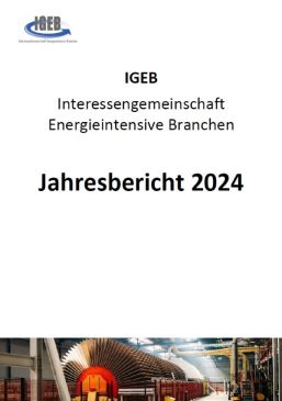 Jahresbericht-2024-IGEB
